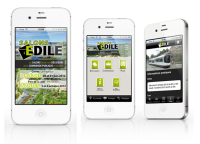 Salons Edile