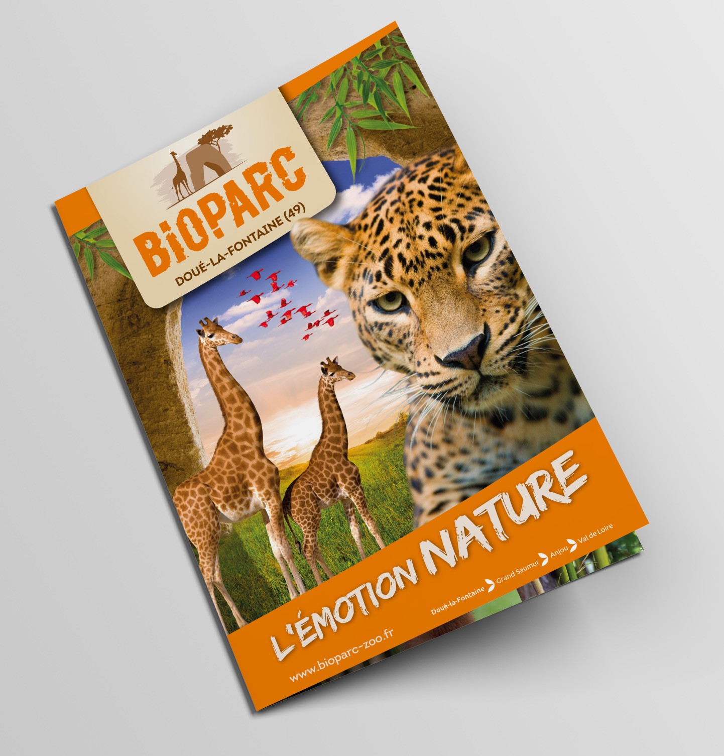 Bifold-Brochure-Mockup-bioparc